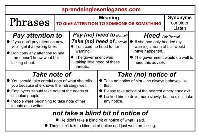 Pay attention to, pay heed to , take heed of, heed, take note of, take notice of, not take a blind bit of notice of