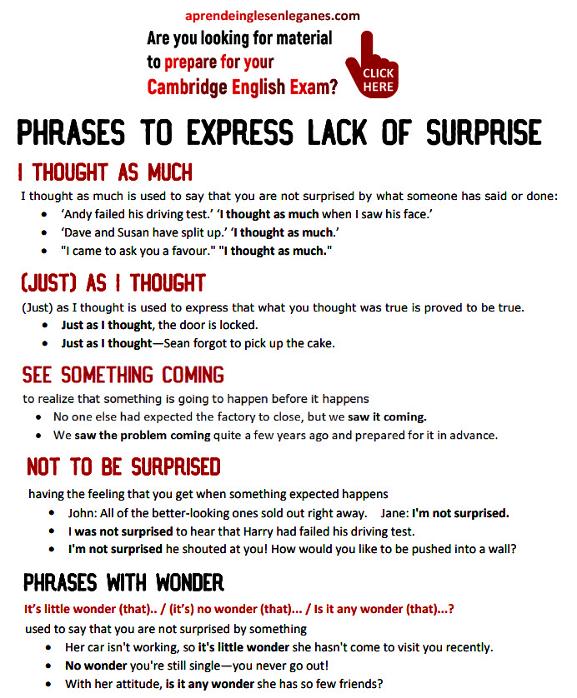 expressing lack of surprise (phrases)