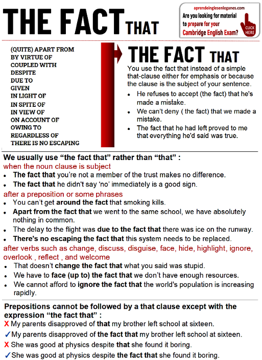 The Fact That (phrase)